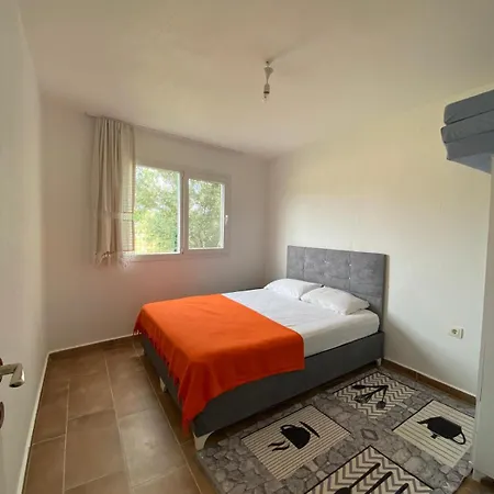 Ferienhaus Zakkumevleri