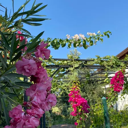 Zakkumevleri Ferienhaus