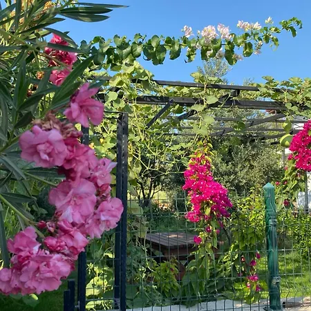 Zakkumevleri Ferienhaus *